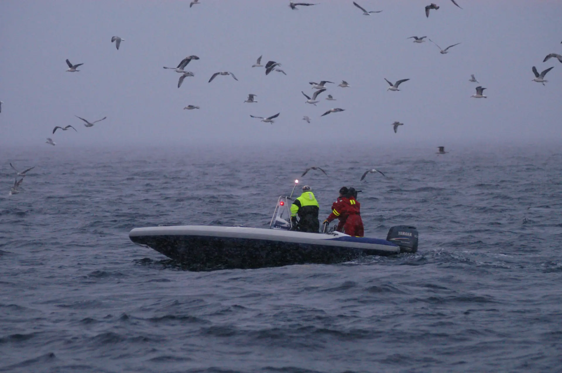 Har du riktig lanterneføring?
