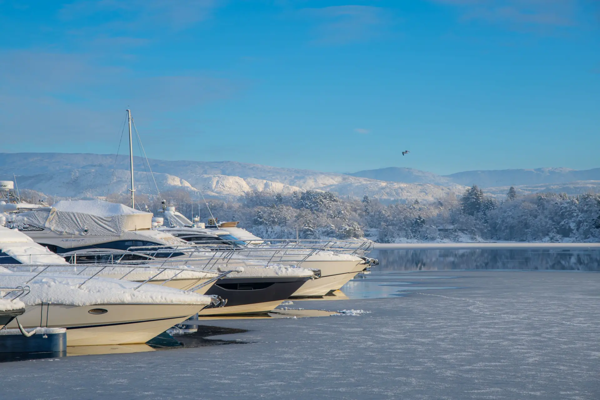 Alle bilder @Rune Haugseng