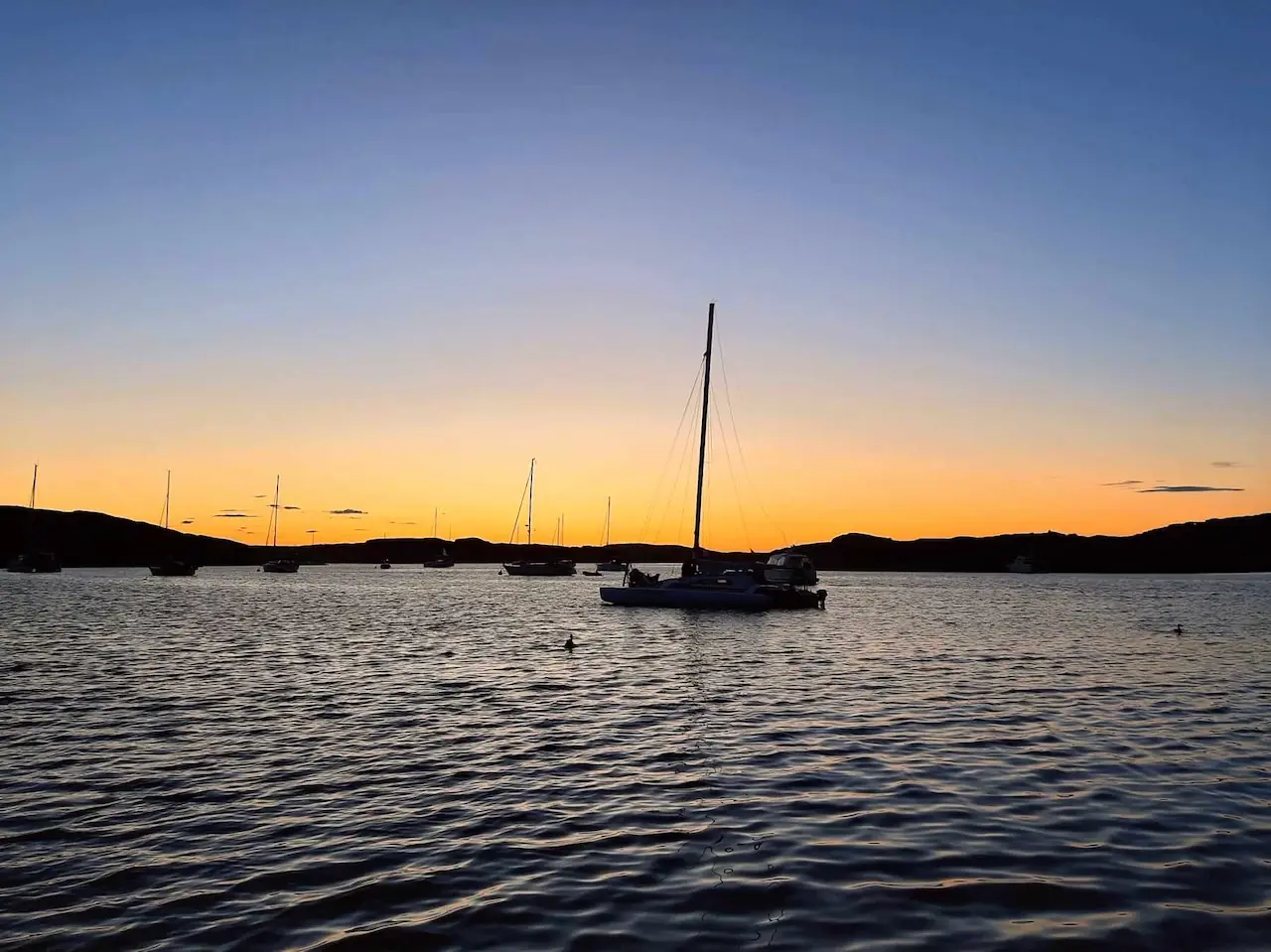Båter i kveldsstemning